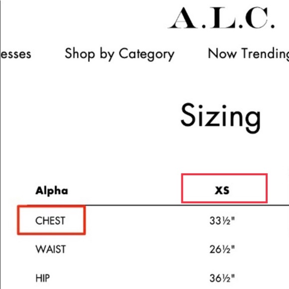 SALE NWT A.L.C. Kati Tee - Ocean - Picture 12 of 13